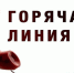 О проведении «Горячей линии» в рамках проведения  Всероссийской акции «Стоп ВИЧ/СПИД». - Демянский район