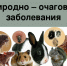Профилактика природно-очаговых инфекций. - Демянский район