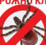 Клещевой вирусный энцефалит и меры профилактики. - Демянский район